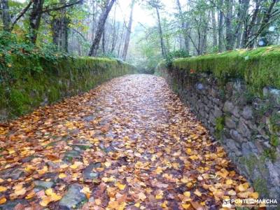 Sierra de Francia [Fiesta de la Almudena] singles vacaciones viajes organizados a madrid senderismo 